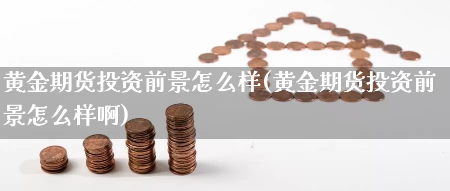 黄金期货投资前景怎么样(黄金期货投资前景怎么样啊)_https://www.grpgrille.com_黄金期货直播室_第1张