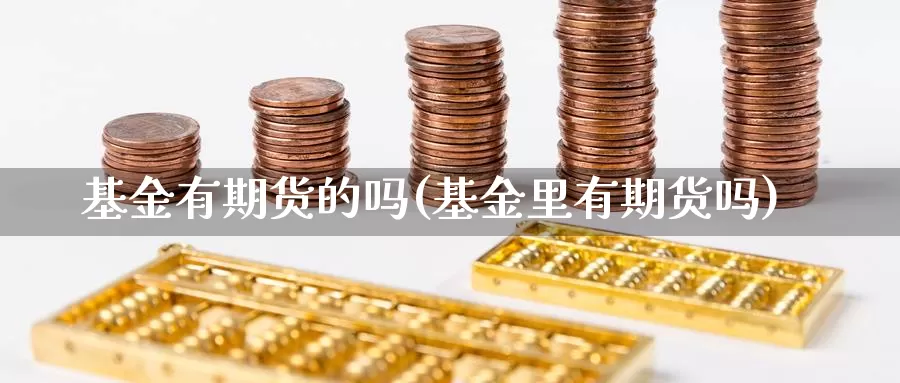 基金有期货的吗(基金里有期货吗)_https://www.grpgrille.com_黄金期货直播室_第1张