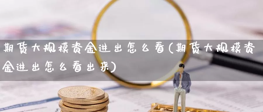 期货大规模资金进出怎么看(期货大规模资金进出怎么看出来)_https://www.grpgrille.com_黄金期货直播室_第1张