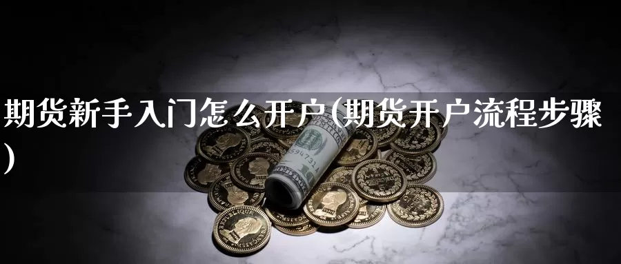 期货新手入门怎么开户(期货开户流程步骤)_https://www.grpgrille.com_黄金期货直播间_第1张