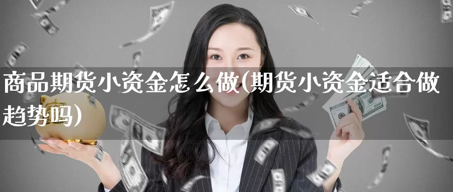 商品期货小资金怎么做(期货小资金适合做趋势吗)_https://www.grpgrille.com_黄金期货直播室_第1张