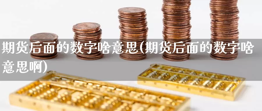 期货后面的数字啥意思(期货后面的数字啥意思啊)_https://www.grpgrille.com_黄金期货开户_第1张