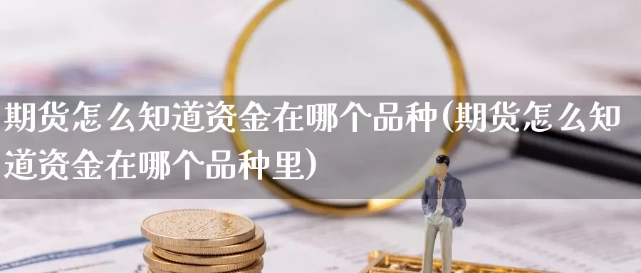 期货怎么知道资金在哪个品种(期货怎么知道资金在哪个品种里)_https://www.grpgrille.com_黄金期货直播间_第1张